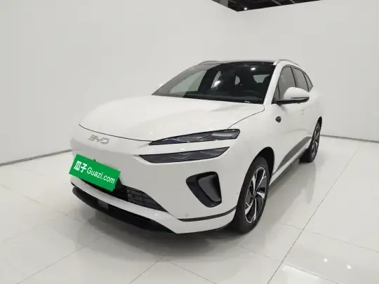 BYD Sealion 06 New Energy 2025 (3000 км)