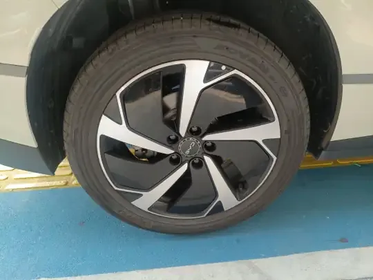 BYD Sealion 06 New Energy 2025 (3000 км)