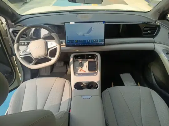 BYD Sealion 06 New Energy 2025 (3000 км)