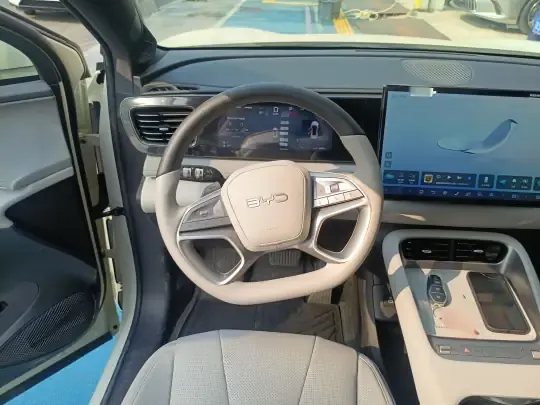 BYD Sealion 06 New Energy 2025 (3000 км)