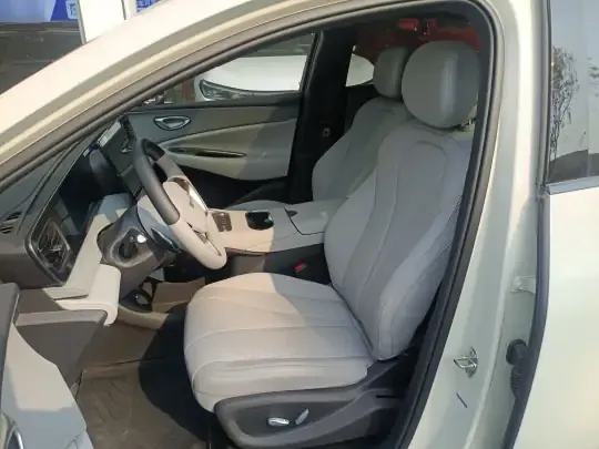 BYD Sealion 06 New Energy 2025 (3000 км)