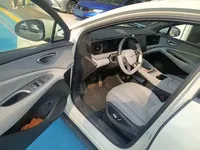 BYD Sealion 06 New Energy 2025 (3000 км)