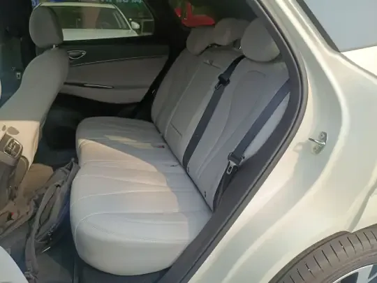 BYD Sealion 06 New Energy 2025 (3000 км)