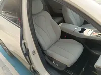 BYD Sealion 06 New Energy 2025 (3000 км)