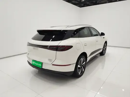 BYD Sealion 06 New Energy 2025 (3000 км)