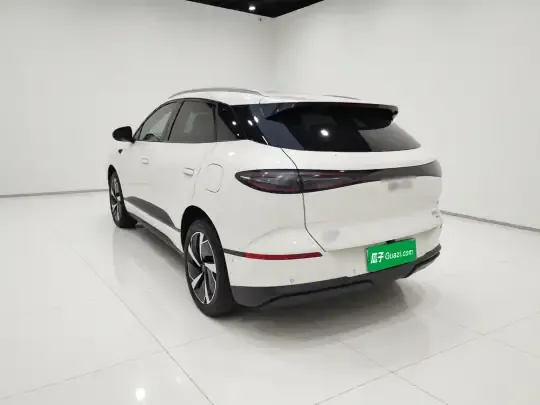 BYD Sealion 06 New Energy 2025 (3000 км)
