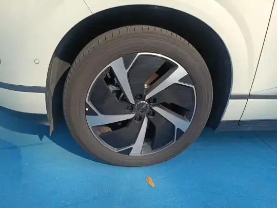 BYD Sealion 06 New Energy 2025 (3000 км)