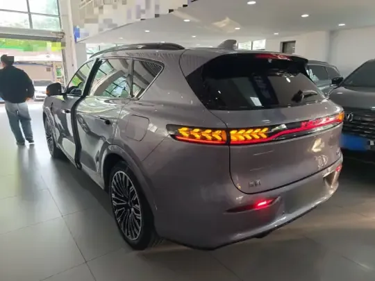 VOYAH FREE 2025 (9600 км)