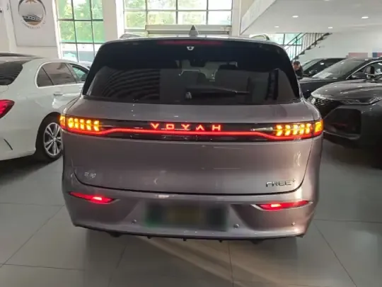 VOYAH FREE 2025 (9600 км)