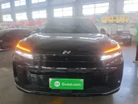 ONVO Luxeed L90 2025 (9300 км)
