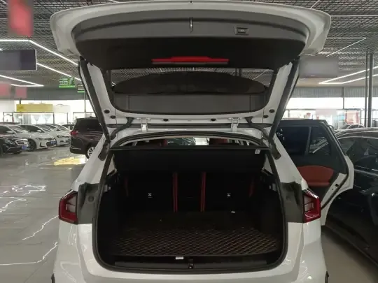 BMW X1 2025 (5500 км)