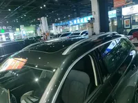 Volkswagen Tavendor 2025 (700 км)