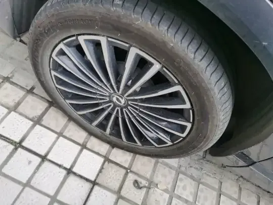 Dongfeng Aeolus L8 2025 (9200 км)