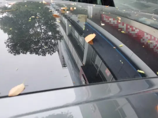 Dongfeng Aeolus L8 2025 (9200 км)