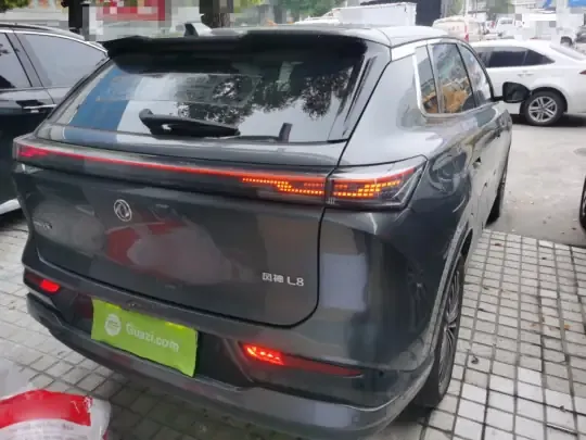 Dongfeng Aeolus L8 2025 (9200 км)