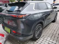 Dongfeng Aeolus L8 2025 (9200 км)