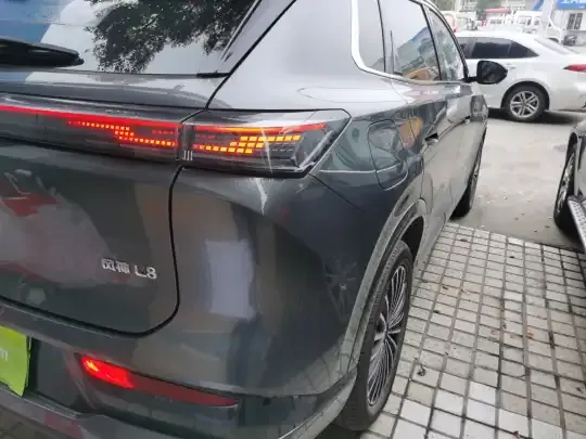 Dongfeng Aeolus L8 2025 (9200 км)