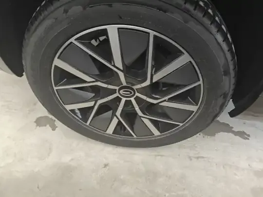 GAC Trumpchi S9 2025 (100 км)