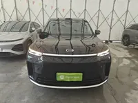 GAC Trumpchi S9 2025 (100 км)