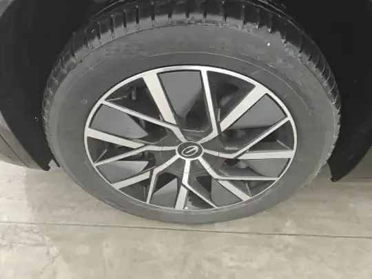 GAC Trumpchi S9 2025 (100 км)