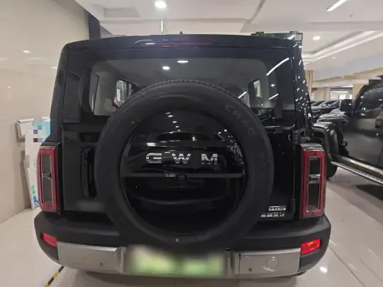 Haval Raptor New Energy 2026 (100 км)