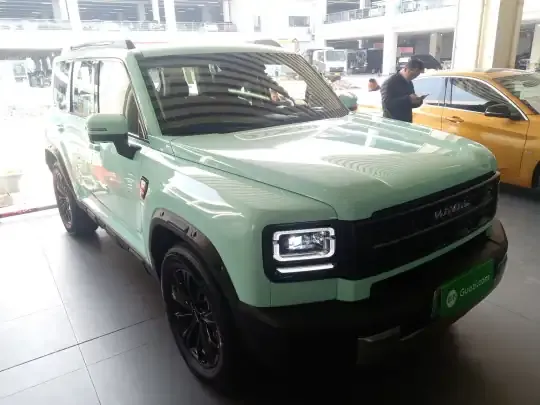 Haval Raptor New Energy 2026 (7900 км)