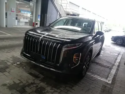 Hongqi HS7 PHEV 2025 (100 км)