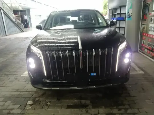 Hongqi HS7 PHEV 2025 (100 км)