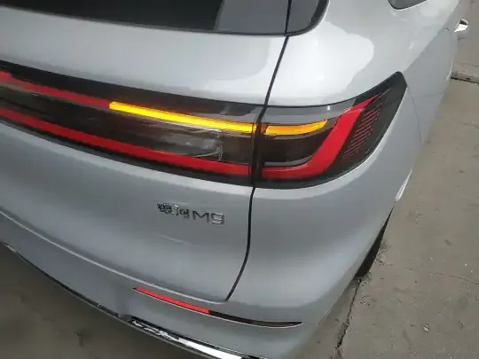 Geely Galaxy M9 2025 (1000 км)