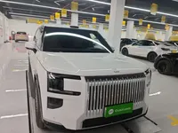 Zeekr 9X 2025 (3800 км)