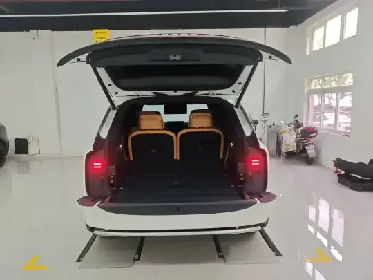 Zeekr 9X 2025 (3800 км)