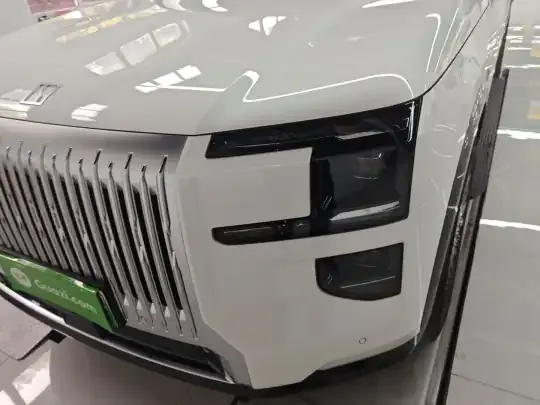 Zeekr 9X 2025 (3800 км)