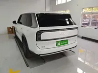 Zeekr 9X 2025 (3800 км)