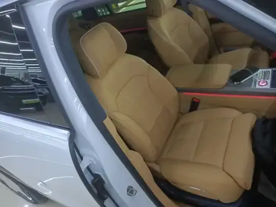 Zeekr 9X 2025 (300 км)