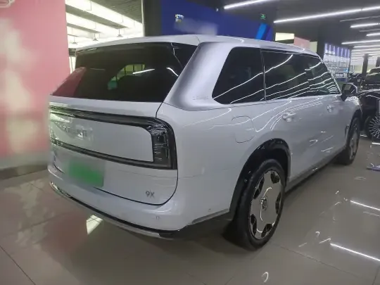 Zeekr 9X 2025 (300 км)