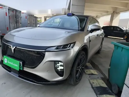 VOYAH COURAGE 2025 (8000 км)