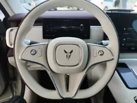 VOYAH COURAGE 2025 (8000 км)