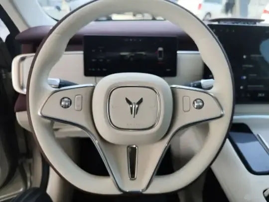VOYAH COURAGE 2025 (8000 км)