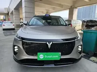 VOYAH COURAGE 2025 (8000 км)