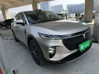 VOYAH COURAGE 2025 (8000 км)