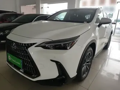 Lexus NX 2025 (100 км)