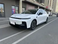 Leapmotor B01 2025 (1900 км)