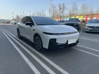 Leapmotor B01 2025 (1900 км)