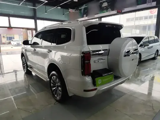 Tank 500 New Energy 2026 (13300 км)