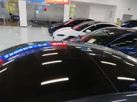 Tesla Model 3 2025 (22800 км)