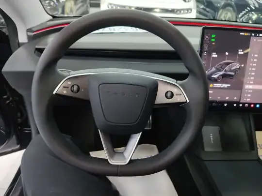 Tesla Model 3 2025 (22800 км)