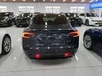 Tesla Model 3 2025 (22800 км)