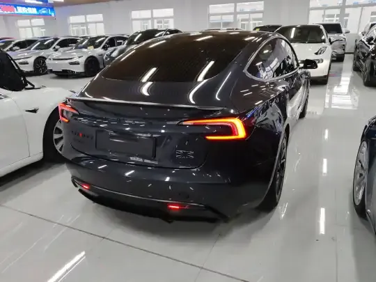 Tesla Model 3 2025 (22800 км)