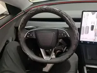 Tesla Model 3 2025 (20200 км)