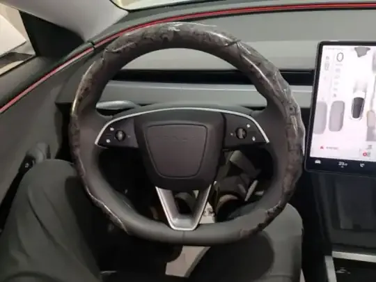 Tesla Model 3 2025 (20200 км)